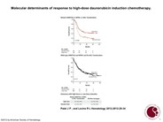 Molecular determinants of response to high-dose daunorubicin induction chemotherapy