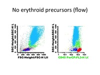 Diamond-Blackfan-Anemia-Flow-Cytometry