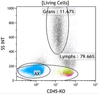 T-Prolymphocytic leukemia