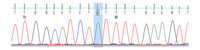 Figure-3