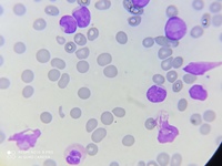 IMAGE SET 6 D IMAGE DETAILS 3