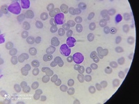 IMAGE SET 6 D IMAGE DETAILS 4