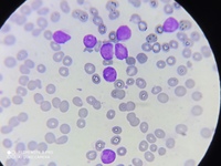 IMAGE SET 6 D IMAGE DETAILS 5