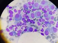 IMAGE SET EDITOR IMAGE DETAILS 1