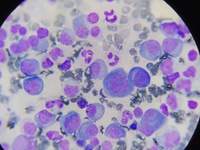 IMAGE SET EDITOR IMAGE DETAILS 3