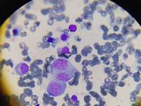 IMAGE SET EDITOR IMAGE DETAILS 4