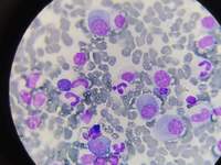 IMAGE SET EDITOR IMAGE DETAILS 6