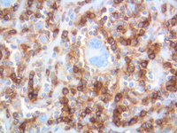 Group Awards images 2