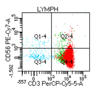 T-LGL leukemia - Flow - Figure 3