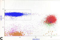 Lymphocytic-variant-of-HES-Immunophenotype