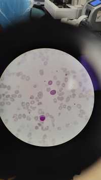 ImageSet-28/02/2022-Image3