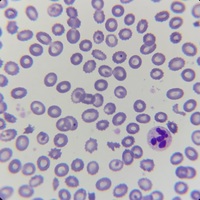 CUBURN img set exploratory test 1