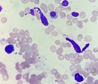 EXP DE48 RETEST 2 REV 1