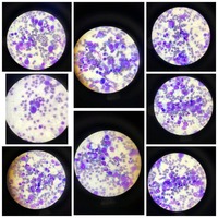 DE117 RETEST CONTRI 1