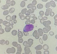 DE111 RETESTT sending full 1