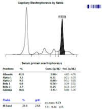 Protein electrophoresis