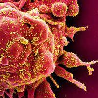 DE447-REF-CASE-RETEST