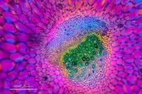 DE447-REF-CASE-RETEST