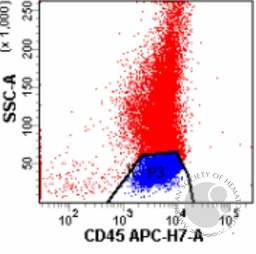 Flow cytometry of left knee joint fluid