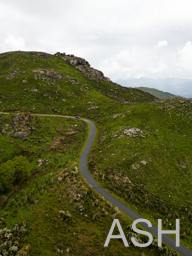 Road Image