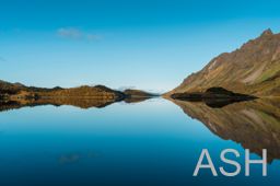 IMAGE for test 1100 1