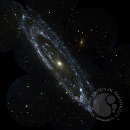 WSI TEST SET IMAGE SVS 1