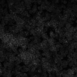 RFC_WSI_IMAGES