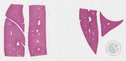 CC_ATLAS_IMG_1