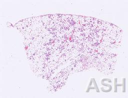 AAA_CAT_TEST_SCN_2.1